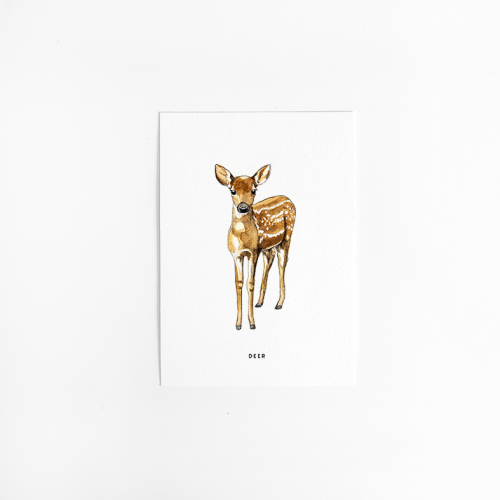 Postcard Deer - 10 pieces