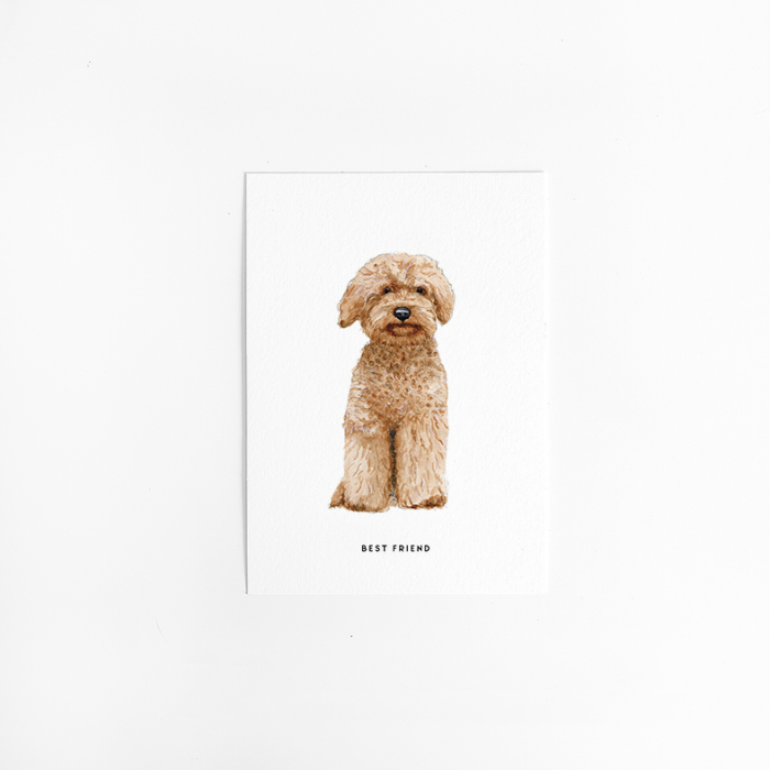 Postcard Dog labradoodle - 10 pieces