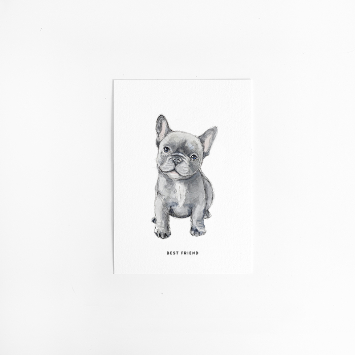 Postcard French Bulldog - 10 pieces