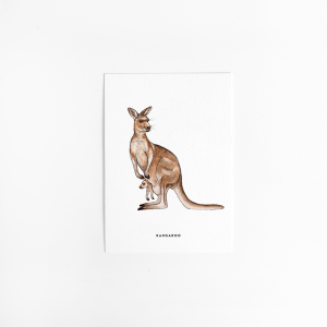 Postcard Kangeroo - 10 pieces