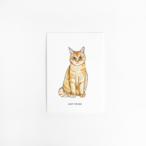Postcard Cat - 10 pieces