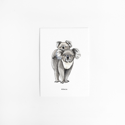 Postcard Koala - 10 pieces