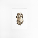 Postcard Rabbit - 10 pieces
