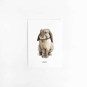 Postcard Rabbit - 10 pieces