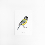 Postcard Coal tit - 10 pieces