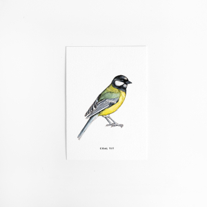 Postcard Coal tit - 10 pieces