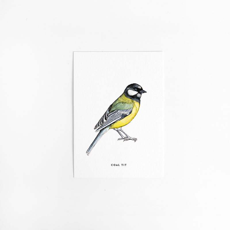 Postcard Coal tit - 10 pieces