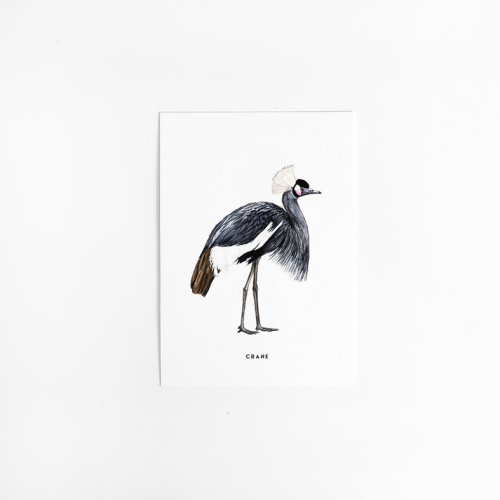 Postcard Crane - 10 pieces