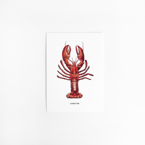 Postcard Lobster - 10 pieces