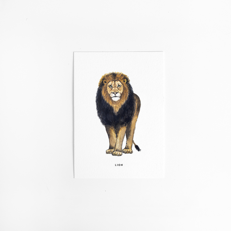 Postcard Lion - 10 pieces