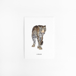 Postcard Leopard - 10 pieces