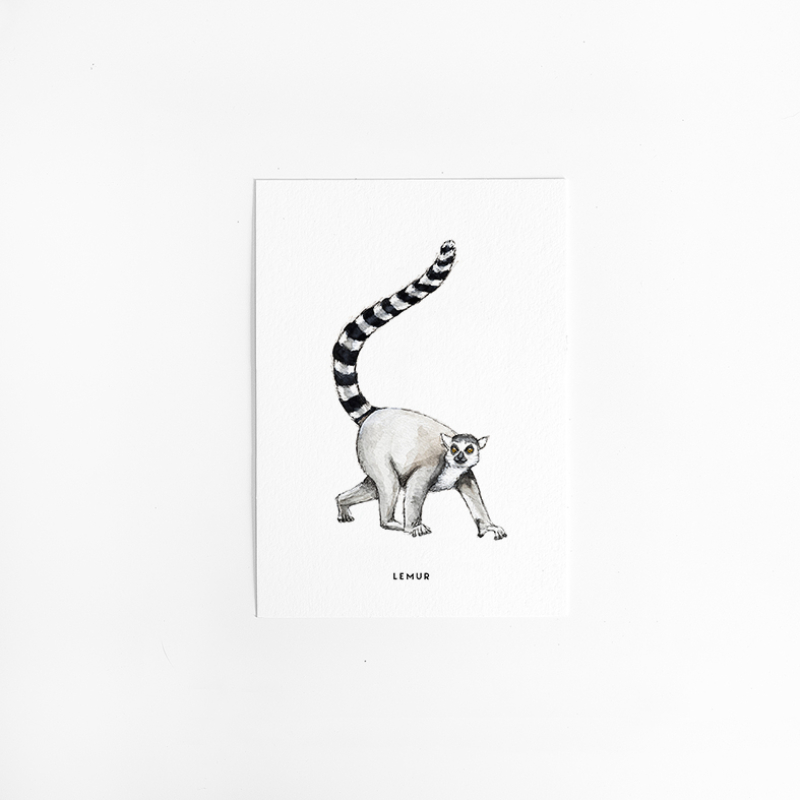 Postcard Lemur - 10 pieces