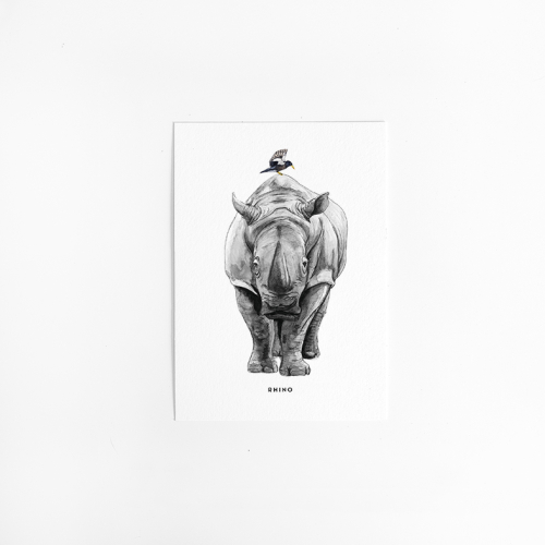 Postcard Rhino - 10 pieces