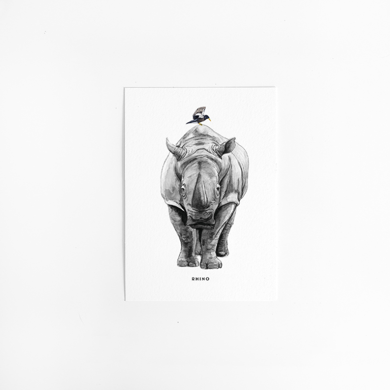 Postcard Rhino - 10 pieces