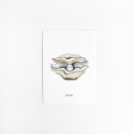 Postcard Oyster - 10 pieces