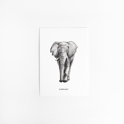 Postcard Elephant