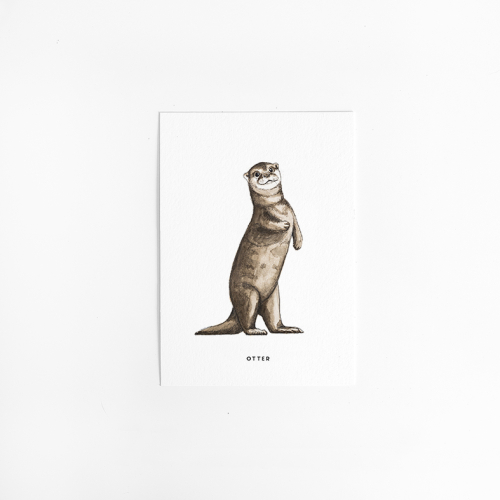 Postcard Otter - 10 pieces