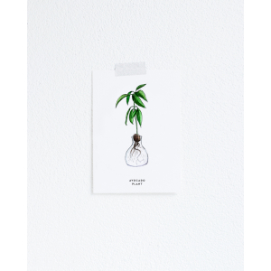Postcard Plant Avocado - 10 pieces