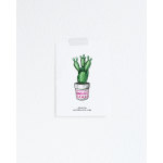F. Kaart Plant Cactus 5 st.