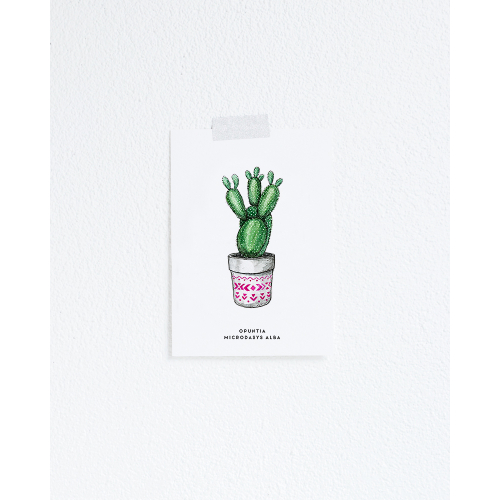 F. Kaart Plant Cactus 10 st.