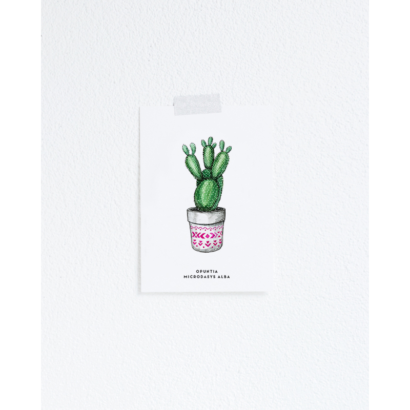 F. Kaart Plant Cactus 5 st.