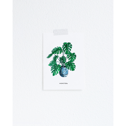 Postcard Plant Monstera - 10 pieces