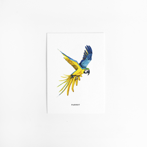 Postcard Parrot - 10 pieces