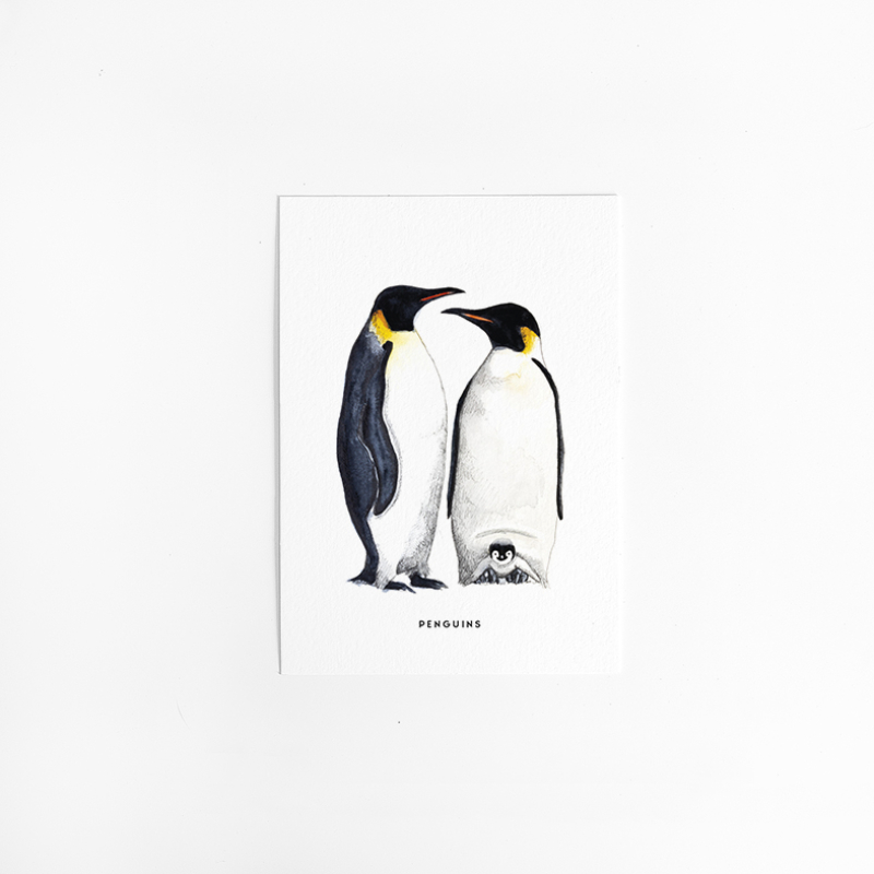 Postcard Penguins - 10 pieces