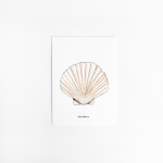 A. Kaart Schelp 10 st.