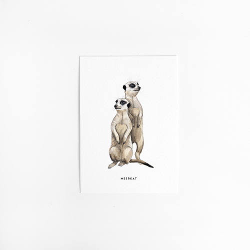 Postcard Meerkat - 10 pieces