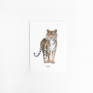 Postcard Tiger - 10 pieces
