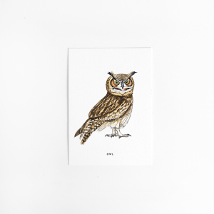 Postcard Owl - 10 pieces