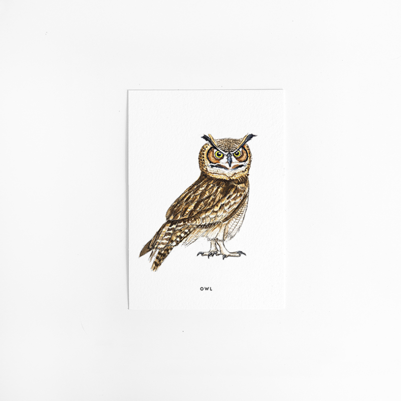 Postcard Owl - 10 pieces