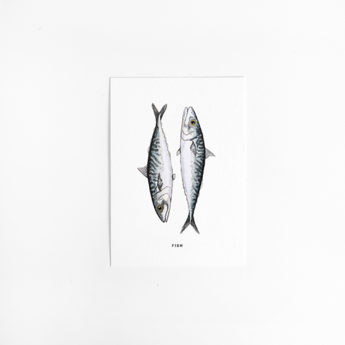 Postcard Fish - 10 pieces