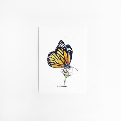 A. Kaart Vlinder met bloem 10 st.