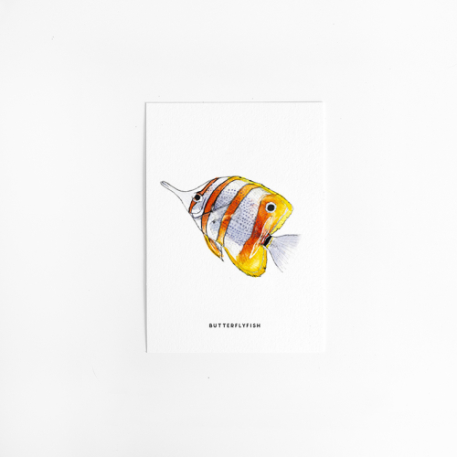 Postcard Butterflyfish - 7 pieces