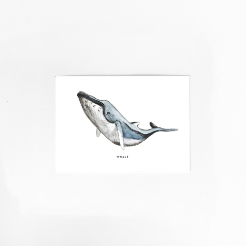 Postcard Whale - 10 pieces
