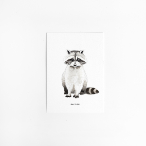 Postcard Racoon - 10 pieces