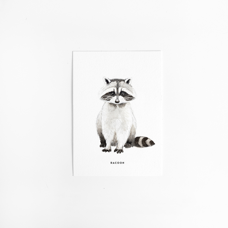 Postcard Racoon - 10 pieces