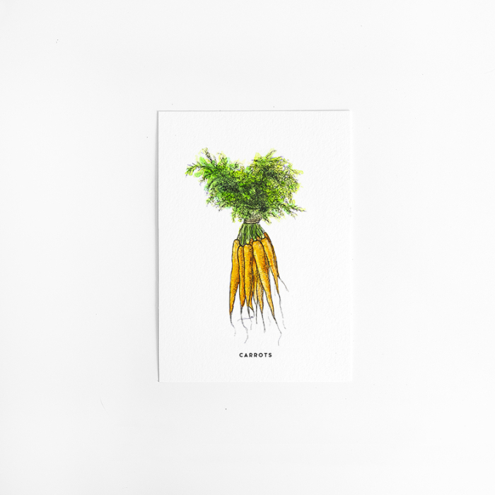 Postcard Carrot - 10 pieces