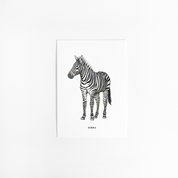 A. Kaart Zebra 10 st.