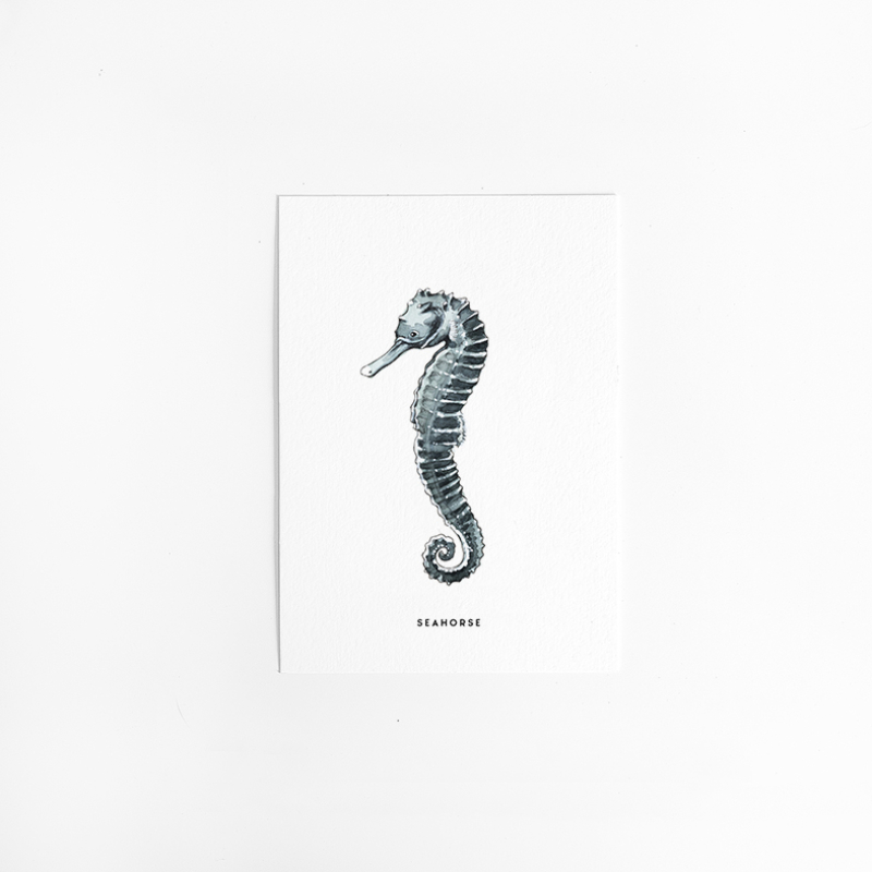 Postcard Seahorse 10 pieces