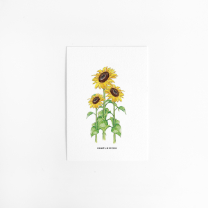 Postcard Flower Sunflowers - 10 pieces