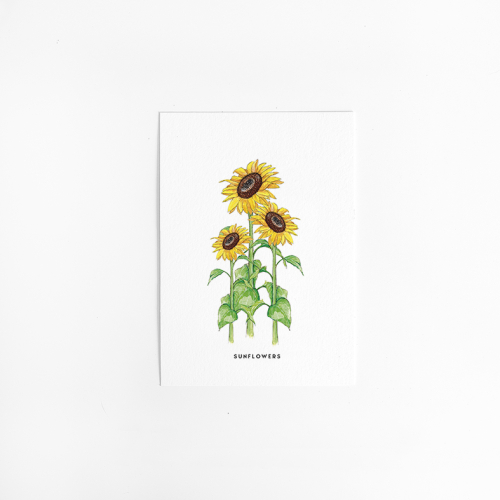 Postcard Flower Sunflowers - 10 pieces