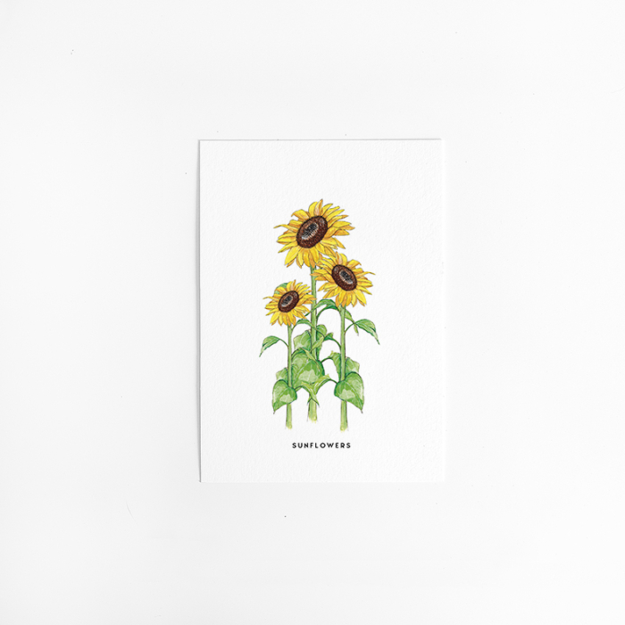 Postcard Flower Sunflowers - 10 pieces