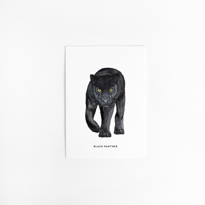 Postcard black panther - 10 pieces