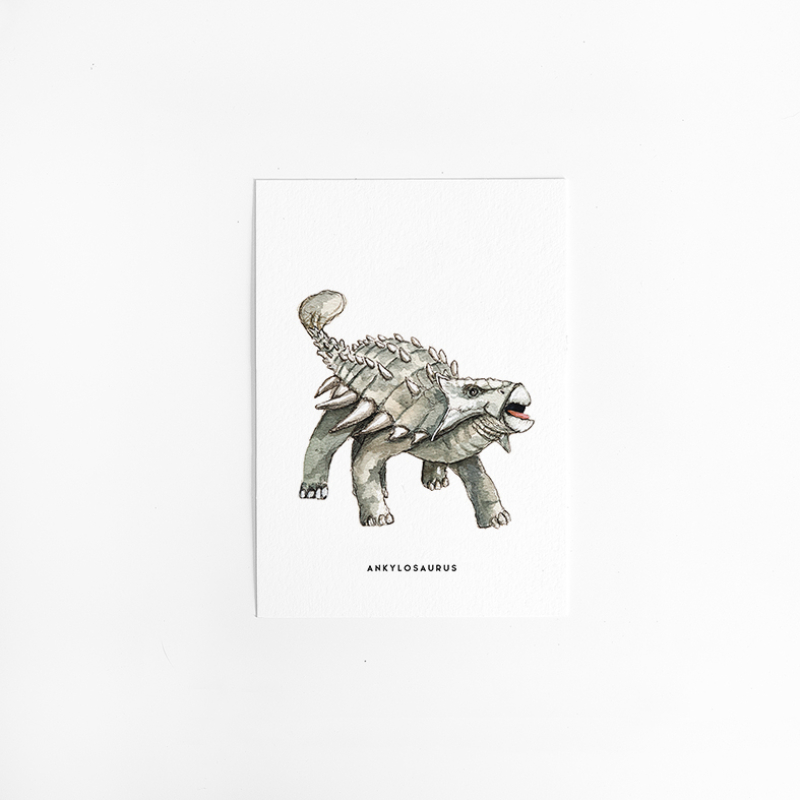 Postcard Dino ankylosaurus - 10 pieces