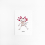 A. Kaart Axolotl 10 st.
