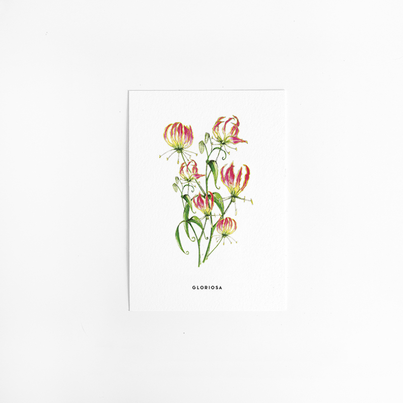 Postcard Flower Gloriosa - 10 pieces