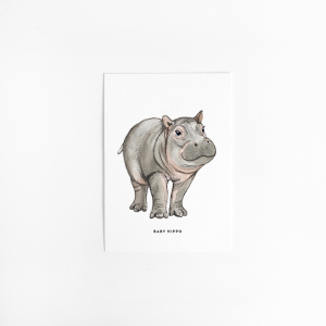 Postcard Baby hippo - 10 pieces